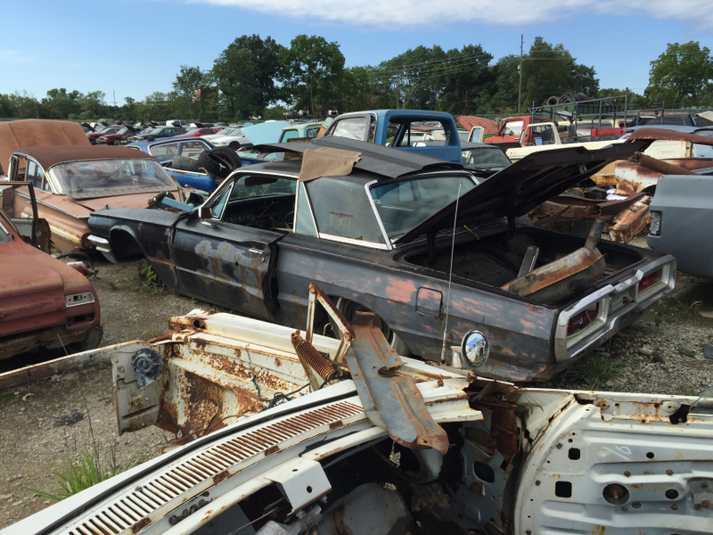 Illustration for article titled Went to the Junkyard yesterday
